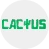 Cactus Casino